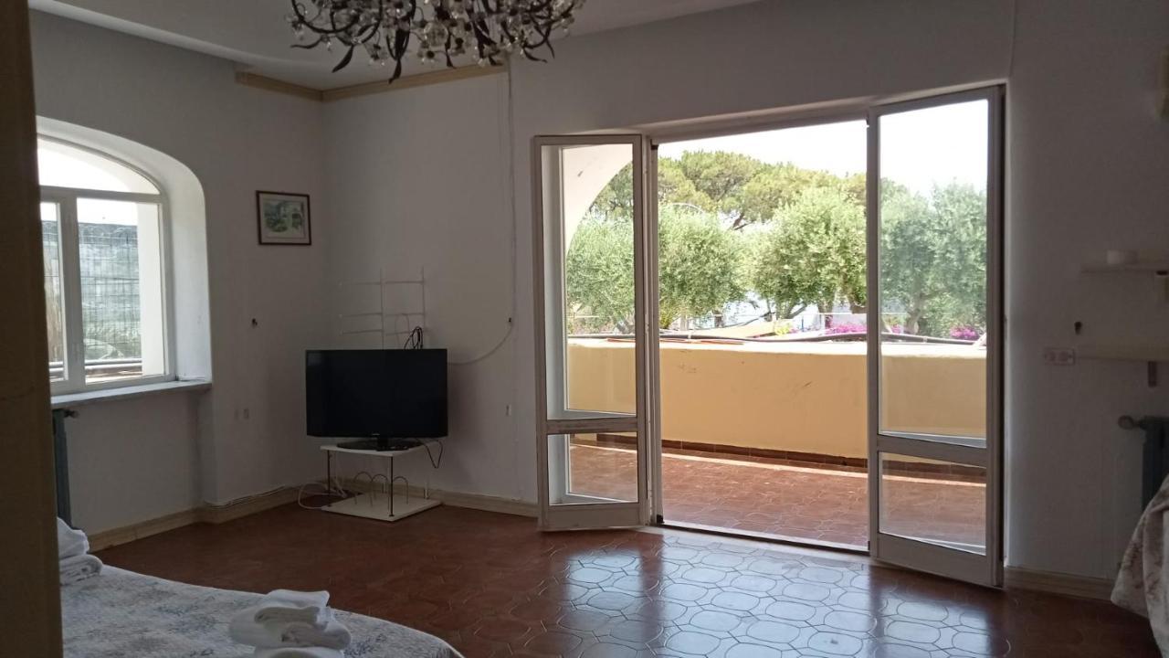 Parco Termale Tropical Bed and Breakfast Isquia Exterior foto